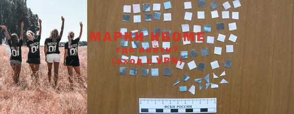 дмт Сосновоборск