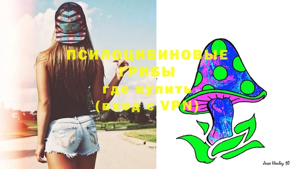 скорость Сосновка