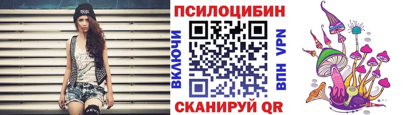 Купить закладки Черкесск Галлюциногенные грибы MAGIC MUSHROOMS