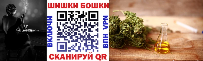 Купить где  Черкесск  Бошки марихуана SATIVA & INDICA 